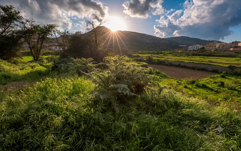 جبل مرير