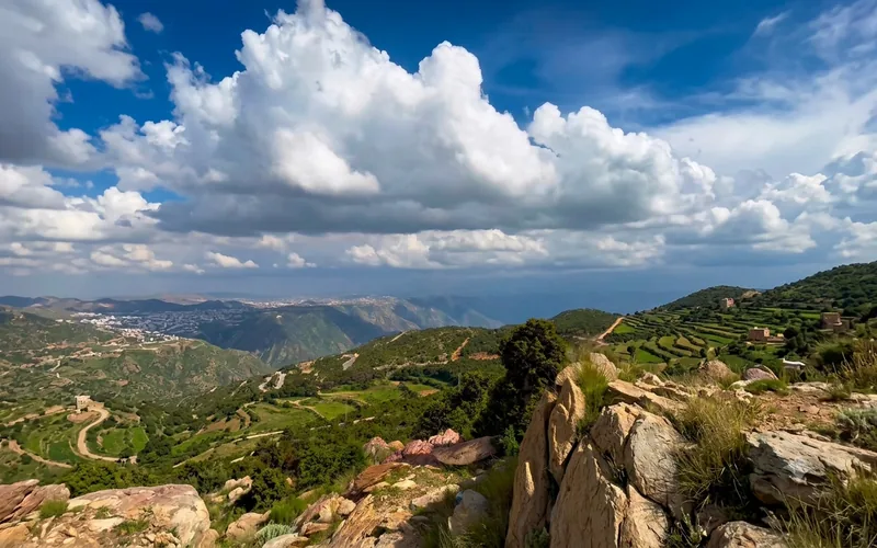 منتزه الأمير سلطان